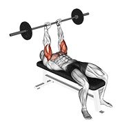 Miniatura de Press JM de banca con barra