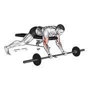 Miniatura de Curl predicador tumbado con barra