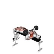 Miniatura de Abdominal con press de barra