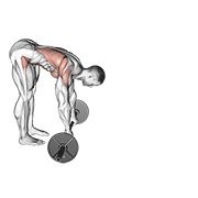 Miniatura de Rueda abdominal de pie con barra