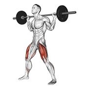 Miniatura de Sentadilla amplia con barra