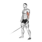 Miniatura de Curl unilateral en polea