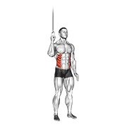 Miniatura de Abdominal lateral en polea
