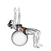Miniatura de Abdominal sobre pelota de estabilidad con brazos rectos