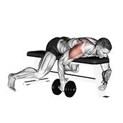 Miniatura de Elevación lateral posterior unilateral tumbado con mancuerna