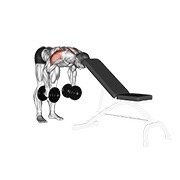 Miniatura de Elevación lateral posterior con mancuernas y apoyo de la cabeza