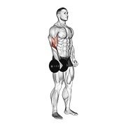 Miniatura de Curl inverso unilateral de pie con mancuerna
