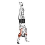 Miniatura de Flexión en pino