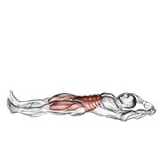 Miniatura de Abdominal tipo navaja