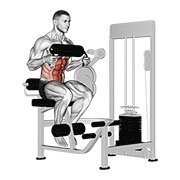 Miniatura de Abdominal sentado con apoyo de pecho en máquina de palanca