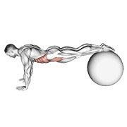 Miniatura de Pull-in sobre pelota de estabilidad