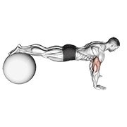 Miniatura de Flexión sobre pelota de estabilidad