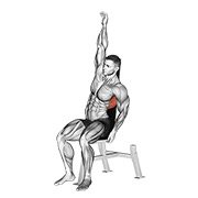 Miniatura de Estiramiento lumbar sentado