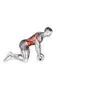 Miniatura de Rueda abdominal
