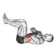 Miniatura de Abdominal recogido