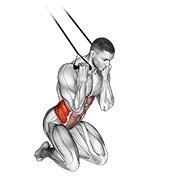 Miniatura de Abdominal con giro de rodillas y banda