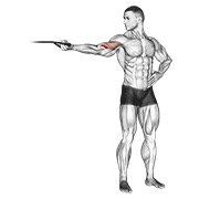 Miniatura de Curl unilateral de bíceps por encima de la cabeza con banda
