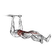 Miniatura de Abdominal con empuje y banda
