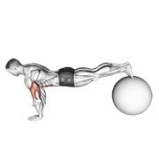 Miniatura de Flexión en pica sobre pelota de ejercicio