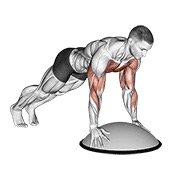 Miniatura de Flexión sobre pelota BOSU