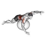 Miniatura de Elevaciones alternas de brazos sobre pelota de ejercicio