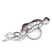 Miniatura de Extensión de espalda sobre pelota con brazos extendidos