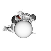 Miniatura de Estiramiento de dorsales sobre pelota de ejercicio