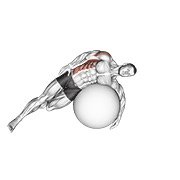 Miniatura de Estiramiento lateral de dorsales tumbado sobre pelota de ejercicio