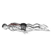 Miniatura de Curl lumbar