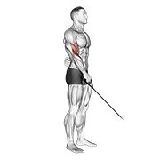 Miniatura de Curl inverso unilateral en polea