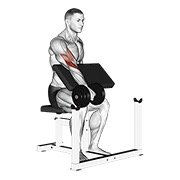 Miniatura de Curl predicador inverso unilateral con mancuerna