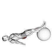 Miniatura de Curl femoral diagonal a una pierna sobre pelota de ejercicio