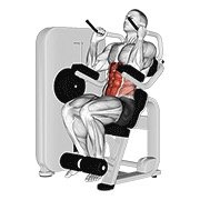 Miniatura de Abdominal sentado en máquina de palanca