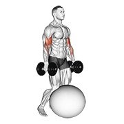 Miniatura de Curl de bíceps de rodillas sobre pelota de ejercicio con mancuernas