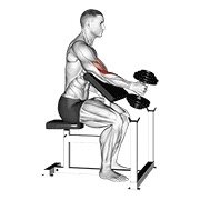 Miniatura de Curl martillo predicador unilateral con mancuerna
