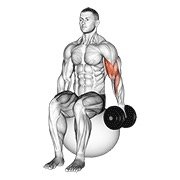 Miniatura de Curl unilateral sentado sobre pelota de ejercicio con mancuerna