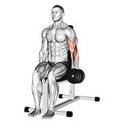 Miniatura de Curl martillo unilateral sentado con mancuerna