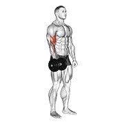 Miniatura de Curl unilateral de pie con mancuerna