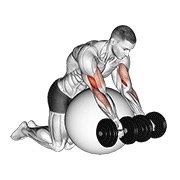 Miniatura de Curl predicador con mancuernas sobre pelota de ejercicio