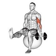 Miniatura de Curl de bíceps unilateral sentado sobre pelota con pierna elevada