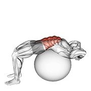 Miniatura de Abdominal completo sobre pelota con manos detrás de la cabeza