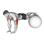 Miniatura de Flexión estrecha sobre pelota de ejercicio