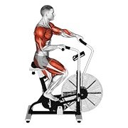 Miniatura de Bicicleta elíptica