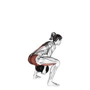Miniatura de Pull-through sumo con mancuernas