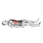 Miniatura de Cuarto de abdominal