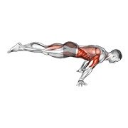 Miniatura de Flexión en plancha completa