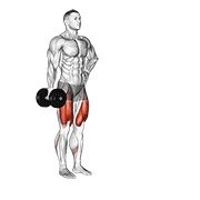 Miniatura de Zancada frontal contralateral con mancuernas